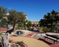 Resale - Apartment - Orihuela Costa - Playa Flamenca