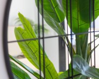 Resale - Apartment - Orihuela Costa - Playa Flamenca