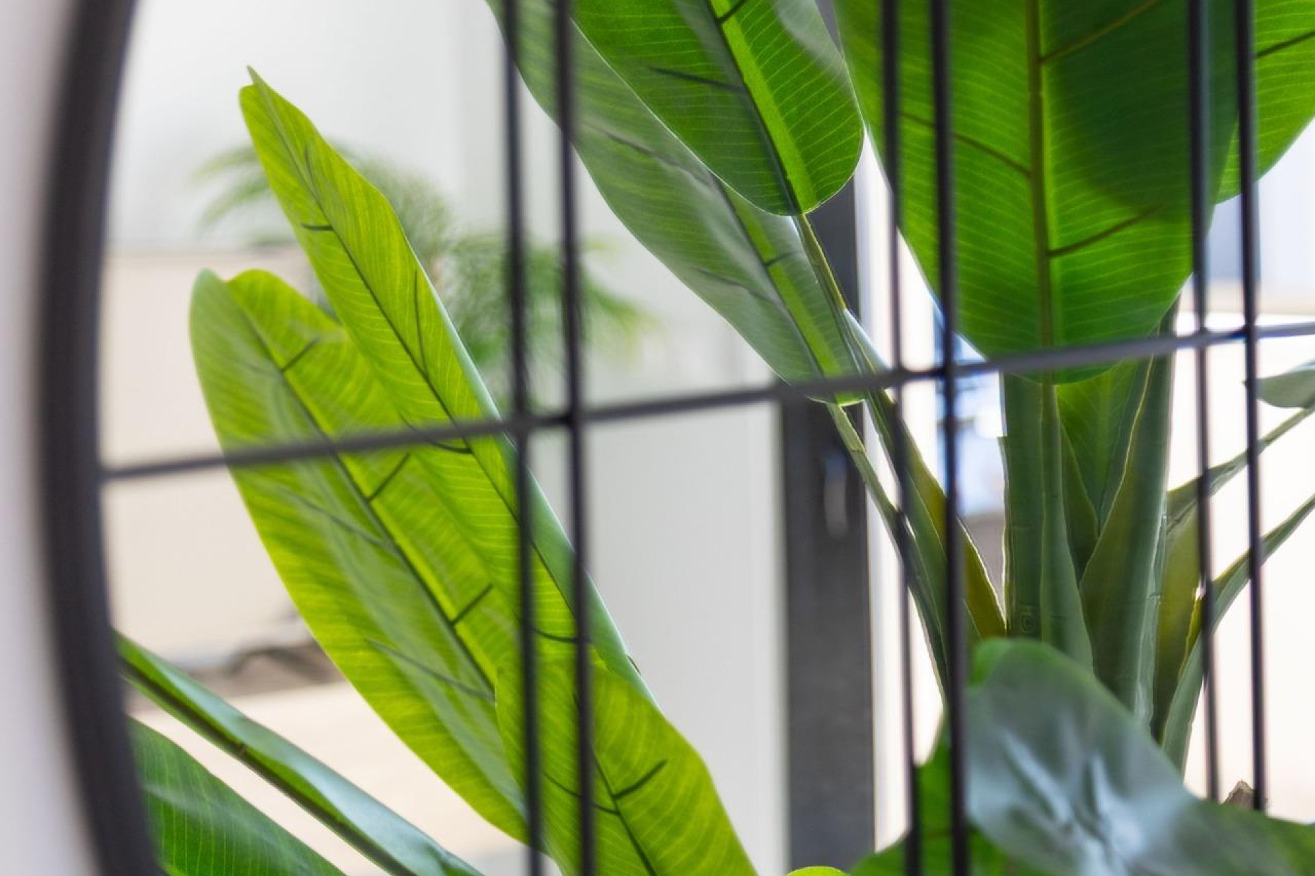 Resale - Apartment - Orihuela Costa - Playa Flamenca