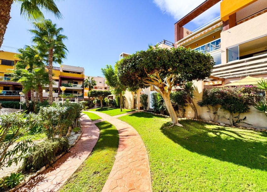 Resale - Apartment - Orihuela Costa - Playa Flamenca