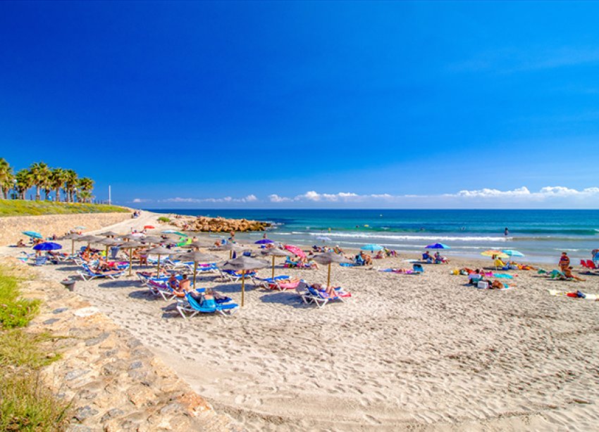 Resale - Apartment - Orihuela Costa - Playa Flamenca