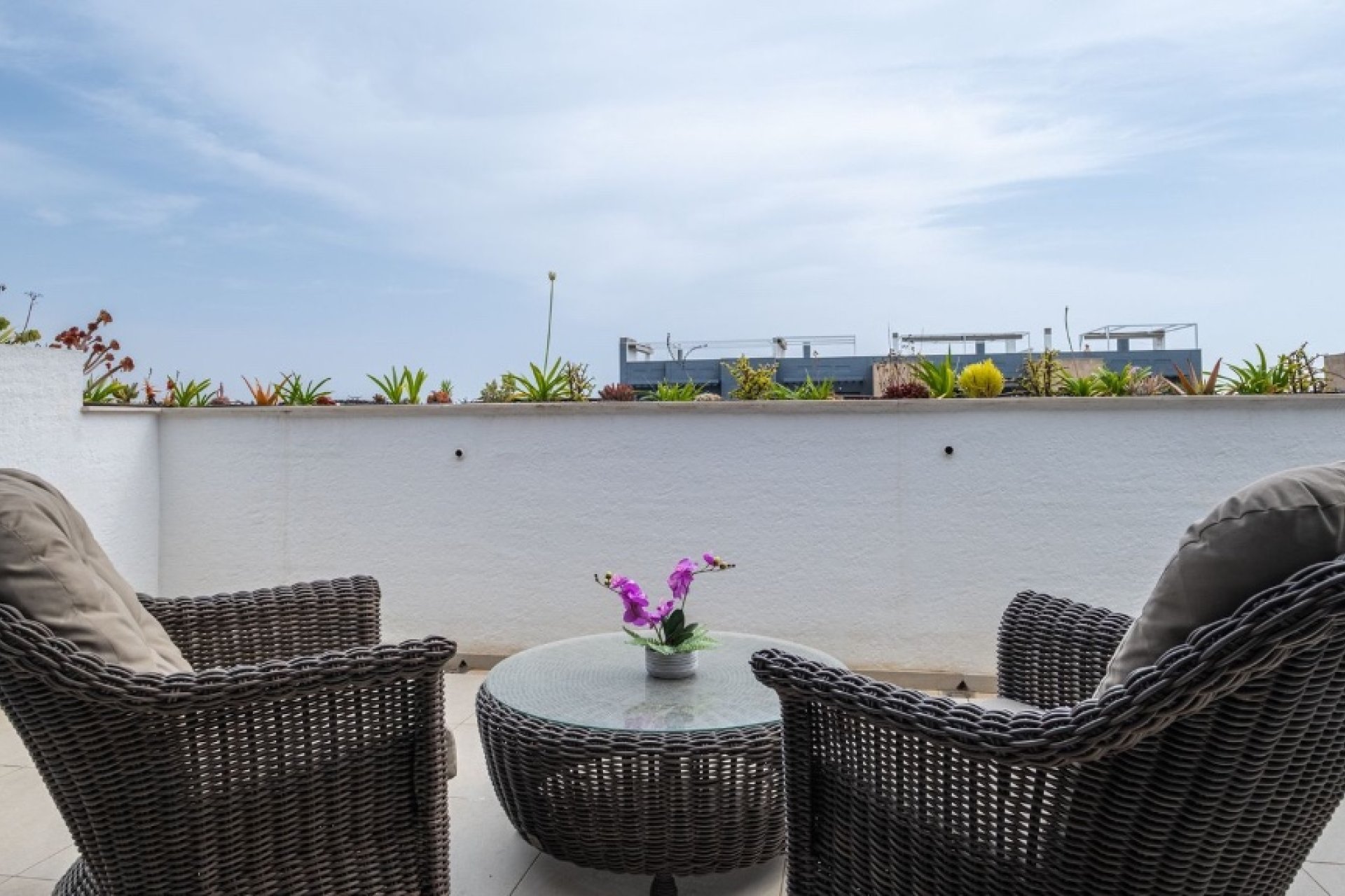 Resale - Apartment - Orihuela Costa - Playa Flamenca