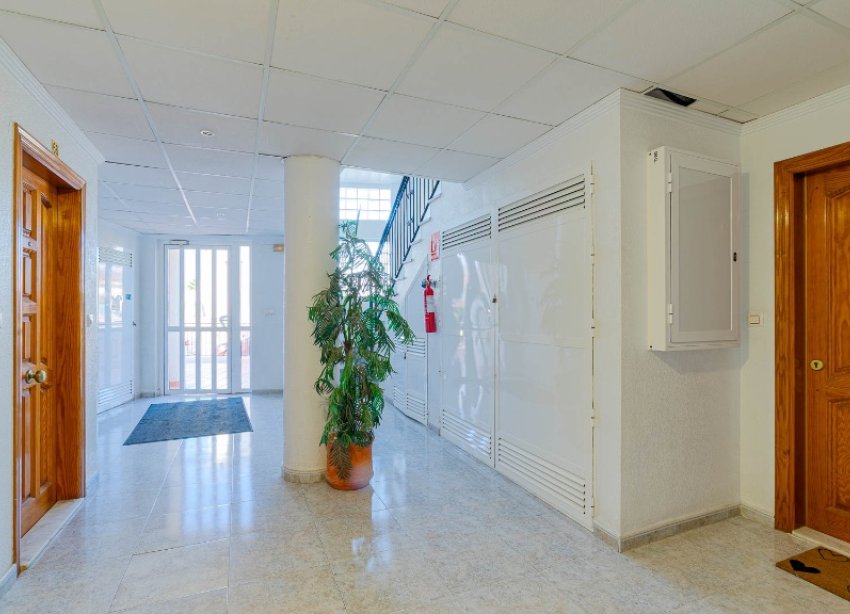 Resale - Apartment - Orihuela Costa - Playa Flamenca