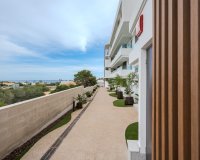 Resale - Apartment - Orihuela Costa - Playa Flamenca