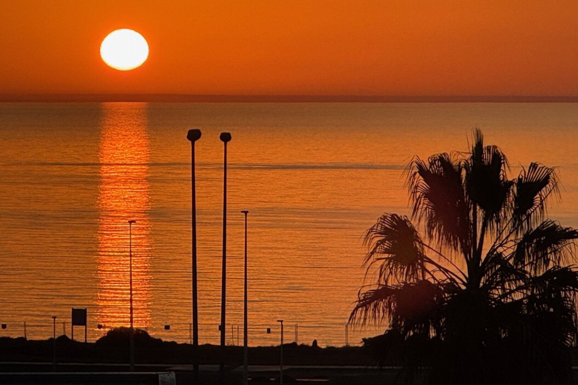 Resale - Apartment - Orihuela Costa - Playa Flamenca