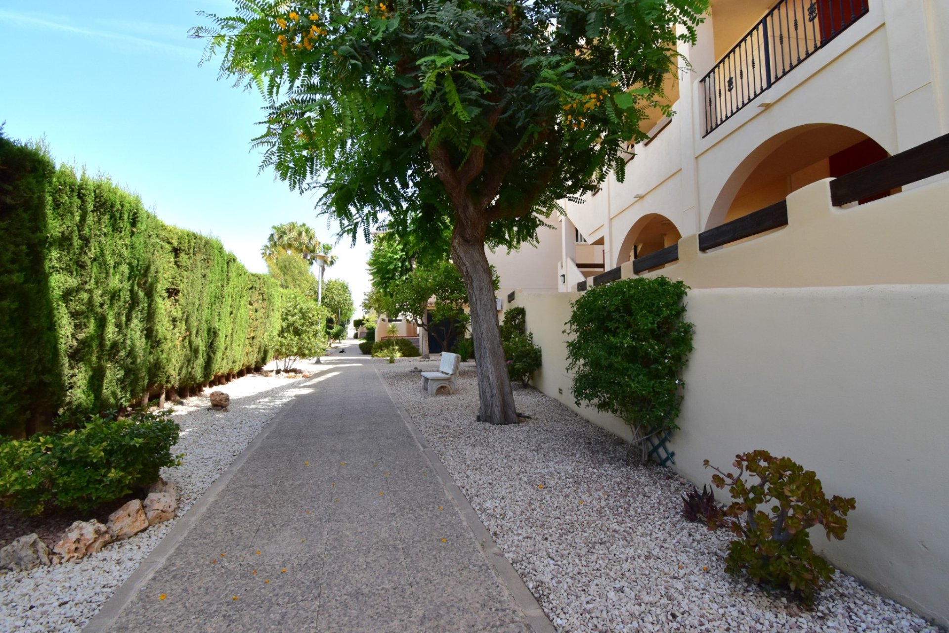 Resale - Apartment - Orihuela Costa - Playa Flamenca