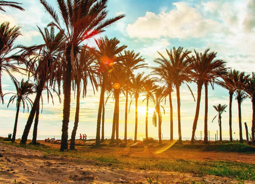 Resale - Apartment - Orihuela Costa - Punta Prima