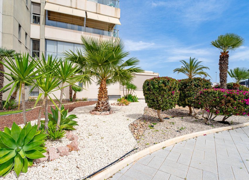 Resale - Apartment - Orihuela Costa - Villamartín