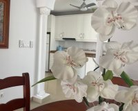 Resale - Apartment - Orihuela - Villamartín