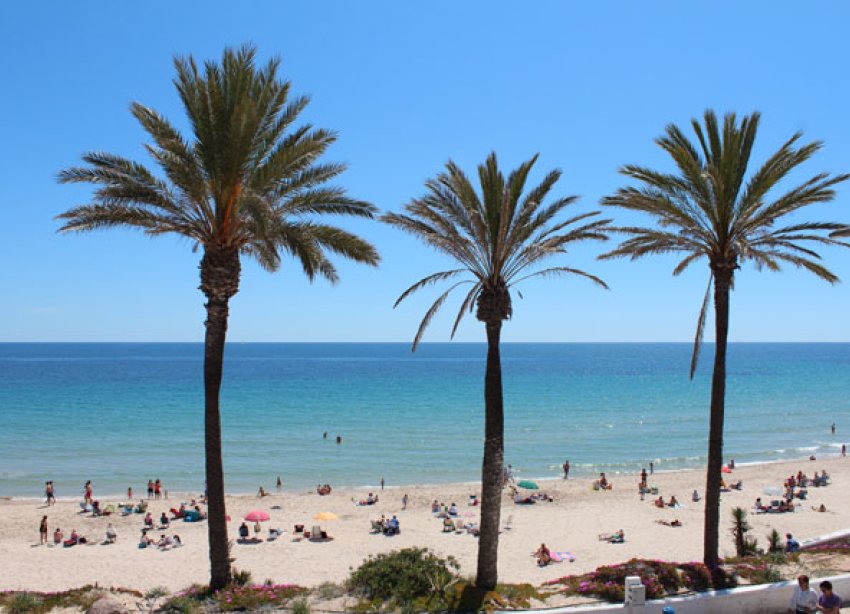 Resale - Apartment - Pilar de la Horadada - Mil Palmeras