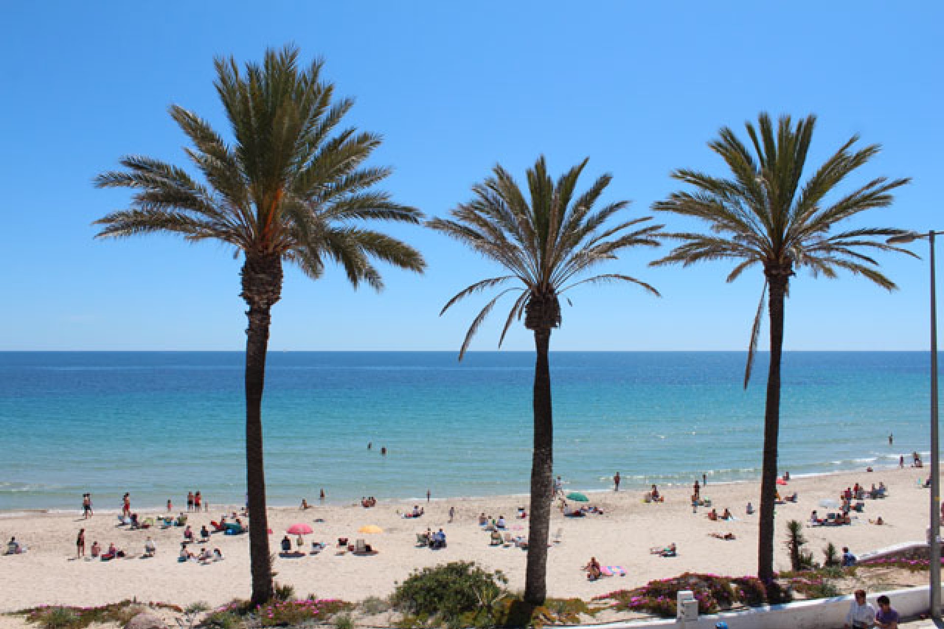 Resale - Apartment - Pilar de la Horadada - Mil Palmeras