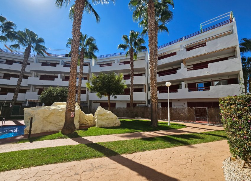 Resale - Apartment - Playa Flamenca - El Rincon