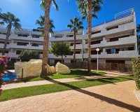 Resale - Apartment - Playa Flamenca - El Rincon