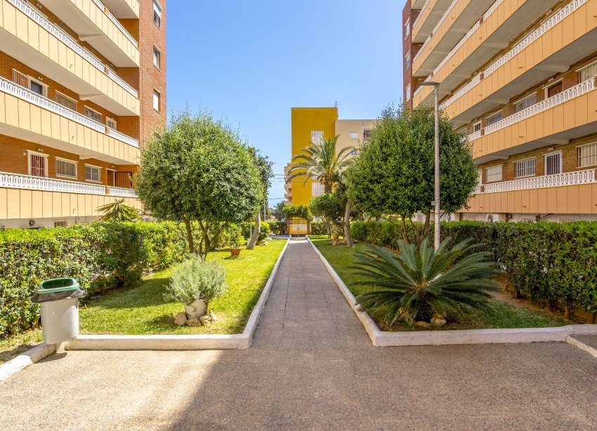 Resale - Apartment - Punta Prima