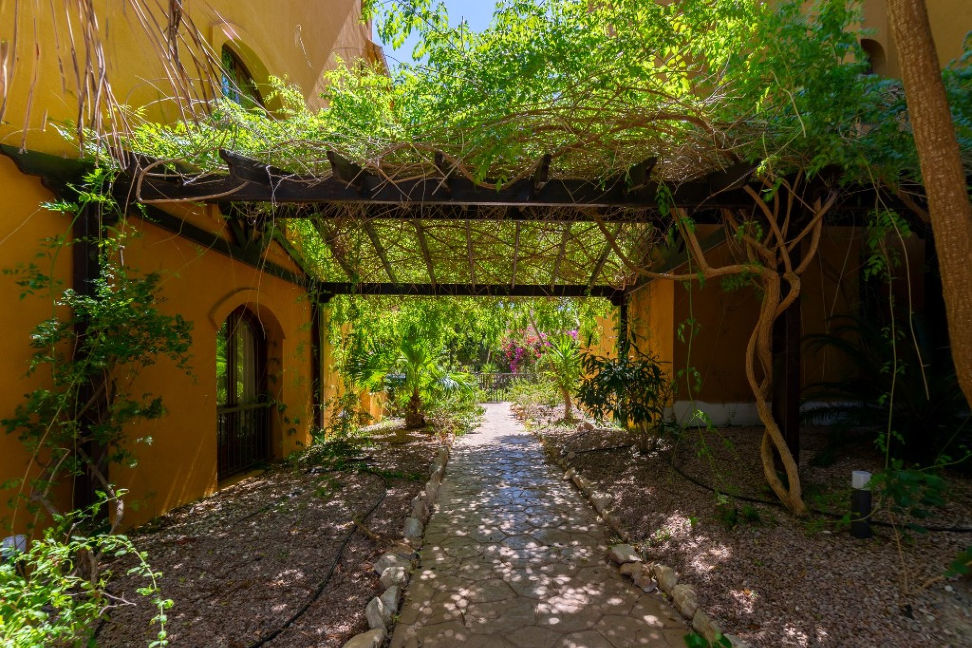 Resale - Apartment - Punta Prima