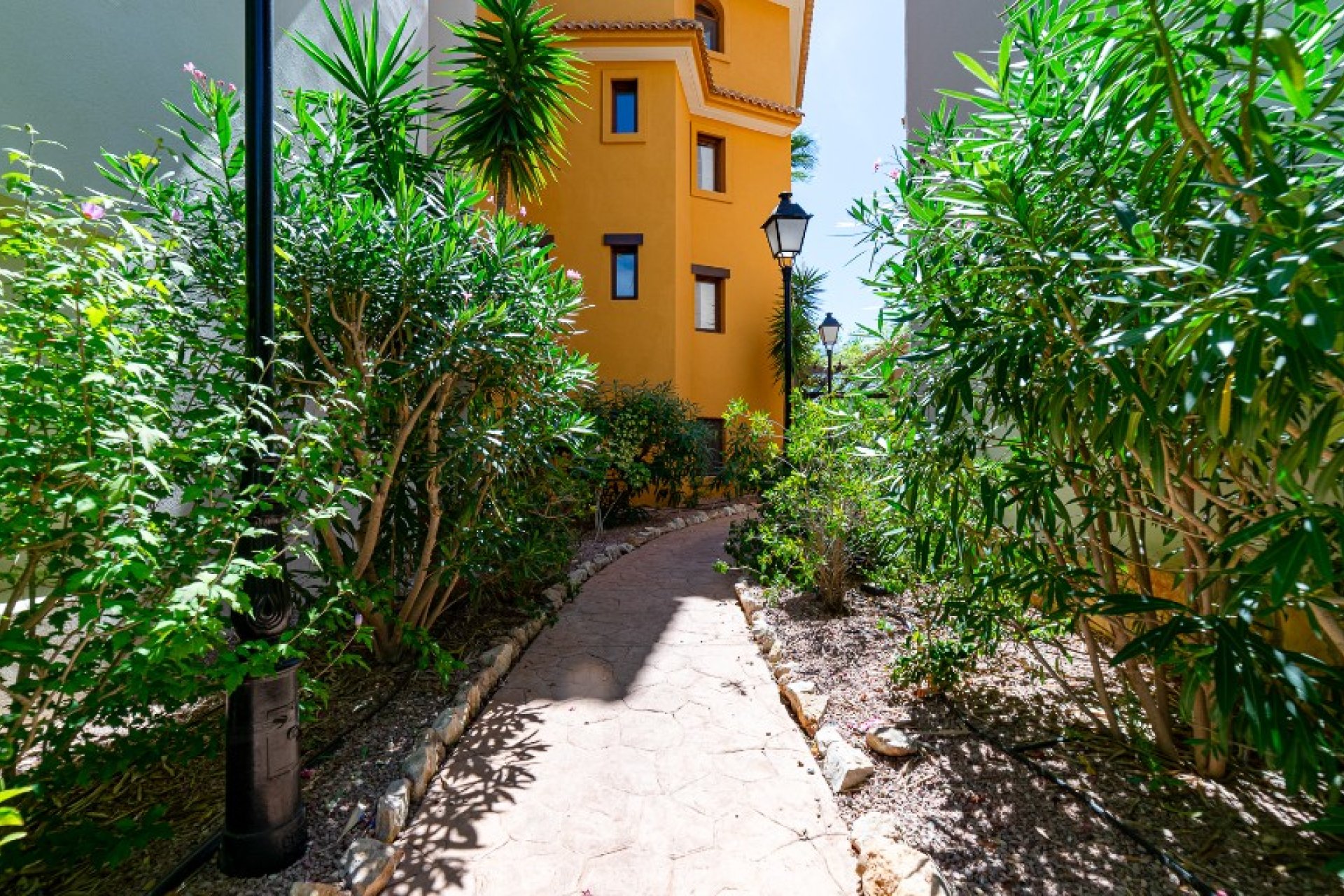 Resale - Apartment - Punta Prima