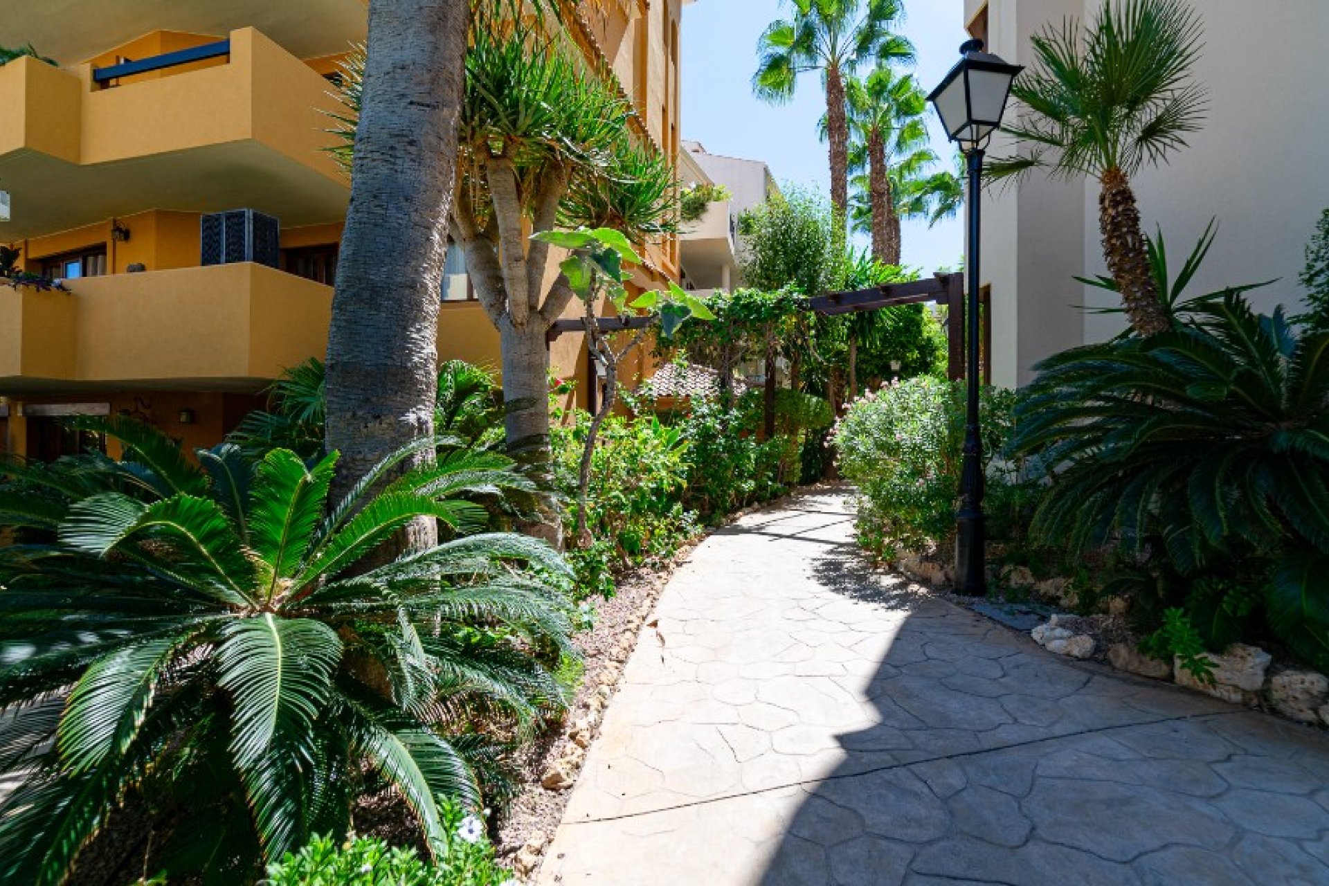 Resale - Apartment - Punta Prima