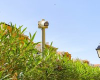 Resale - Apartment - Punta Prima