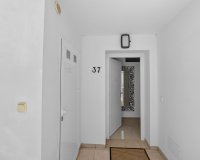 Resale - Apartment - Rojales - Ciudad Quesada