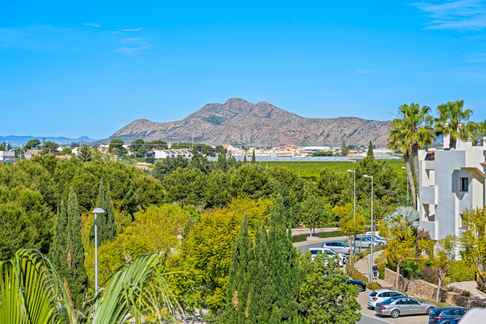 Resale - Apartment - San Javier - Roda Golf