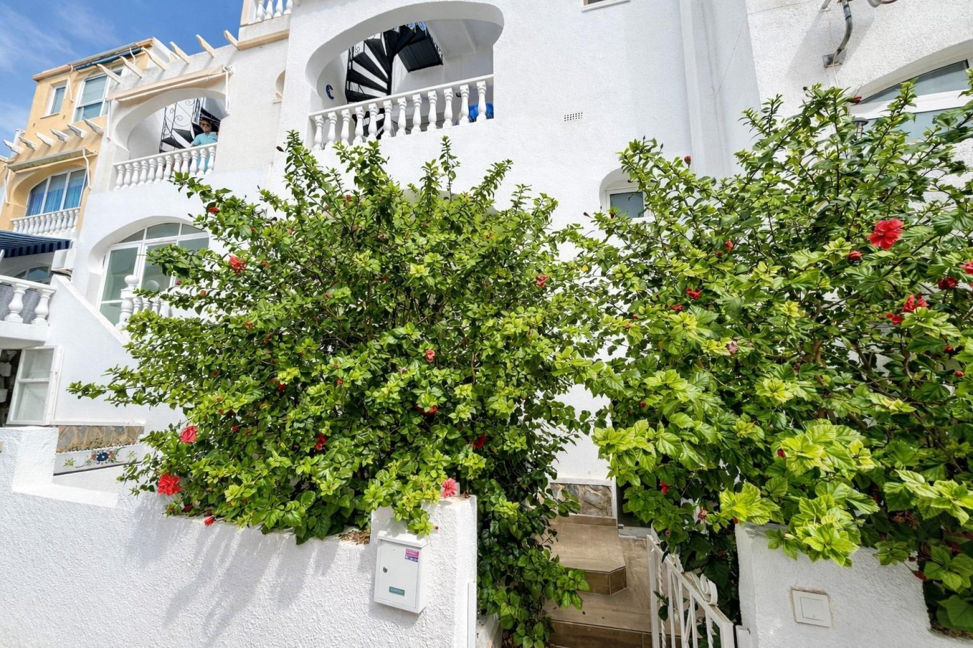 Resale - Apartment - San Miguel de Salinas - Las filipinas