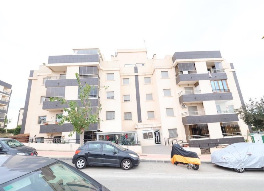 Resale - Apartment - San Miguel de Salinas - Pueblo 9