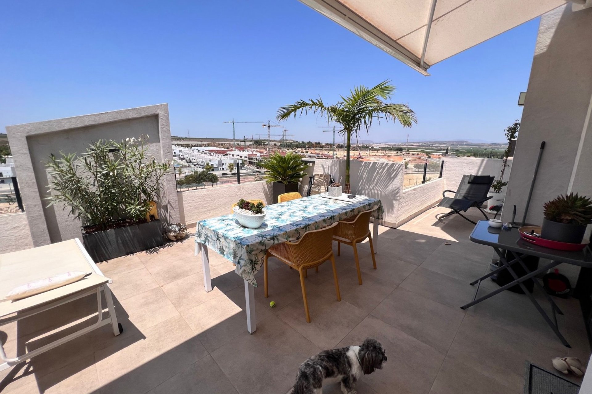 Resale - Apartment - San Miguel de Salinas - San Miguel Salinas