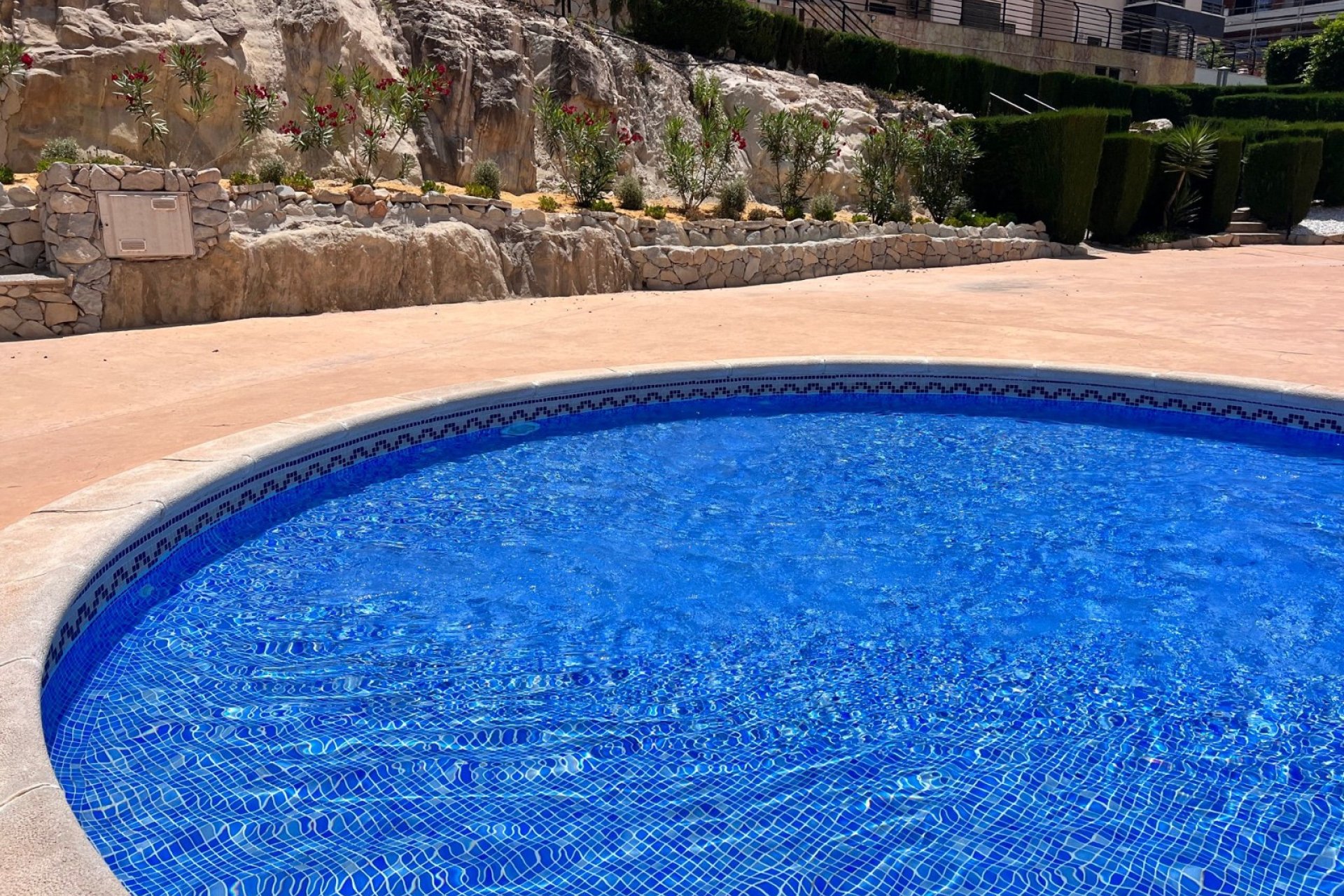 Resale - Apartment - San Miguel de Salinas - San Miguel Salinas