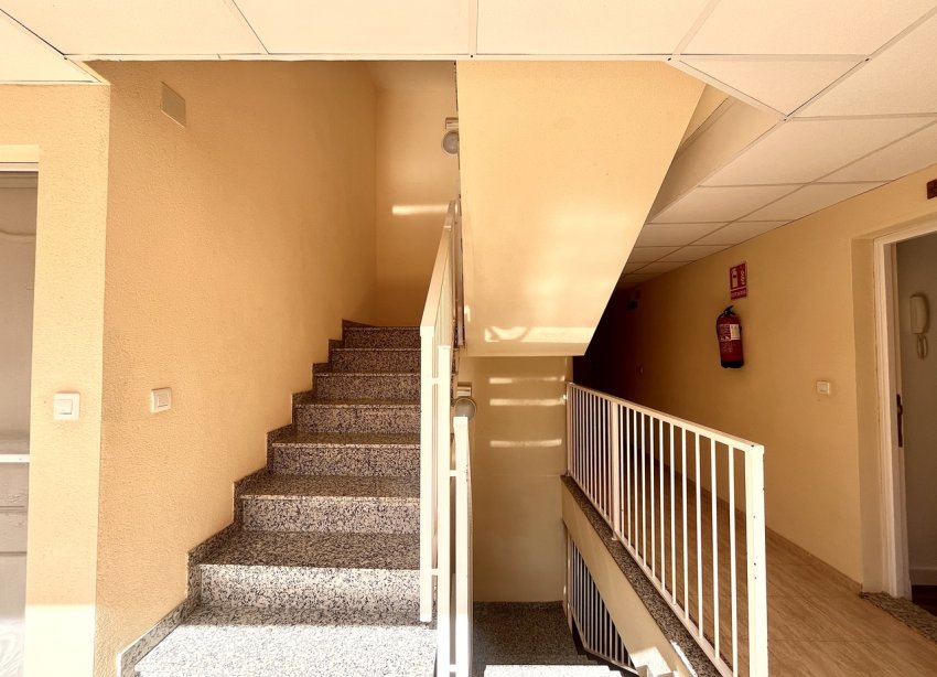 Resale - Apartment - San Miguel de Salinas