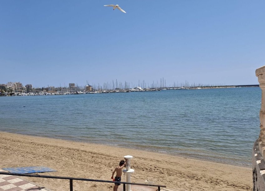 Resale - Apartment - Torrevieja - Acequion