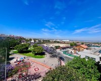 Resale - Apartment - Torrevieja - Acequion