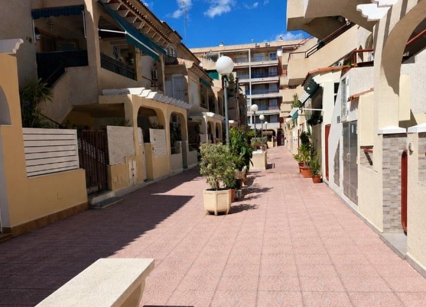 Resale - Apartment - Torrevieja - Acequion
