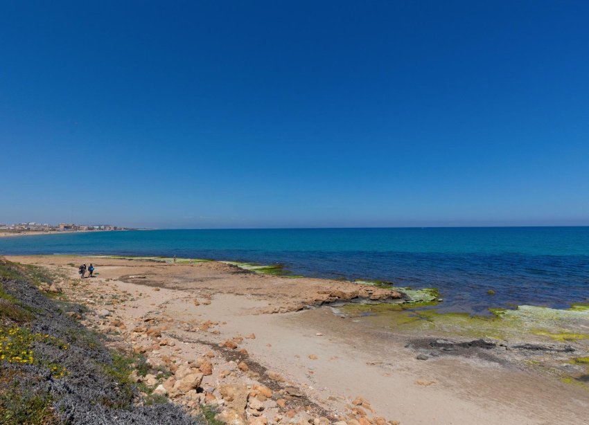 Resale - Apartment - Torrevieja - Cabo cervera