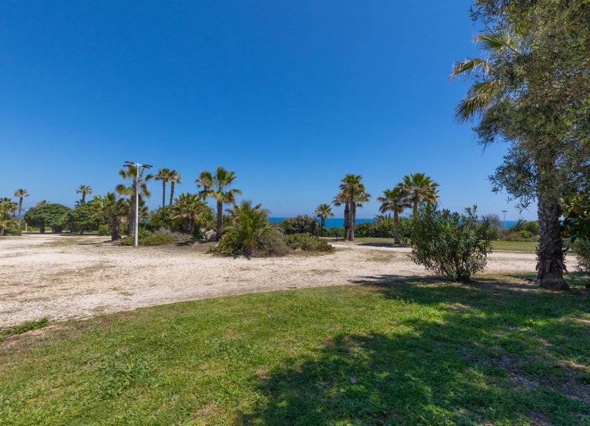 Resale - Apartment - Torrevieja - Cabo cervera