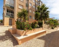 Resale - Apartment - Torrevieja - Cabo Cervera