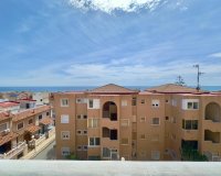 Resale - Apartment - Torrevieja - Cabo cervera