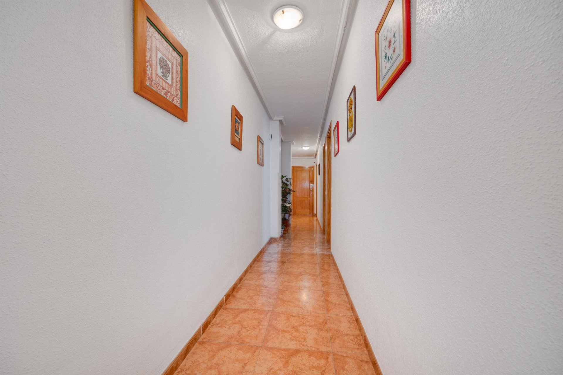 Resale - Apartment - Torrevieja - Centro