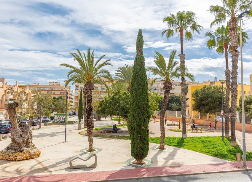 Resale - Apartment - Torrevieja - Estacion de autobuses