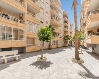 Resale - Apartment - Torrevieja - Estacion de autobuses
