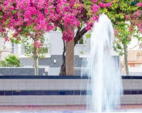 Resale - Apartment - Torrevieja - Estacion de autobuses