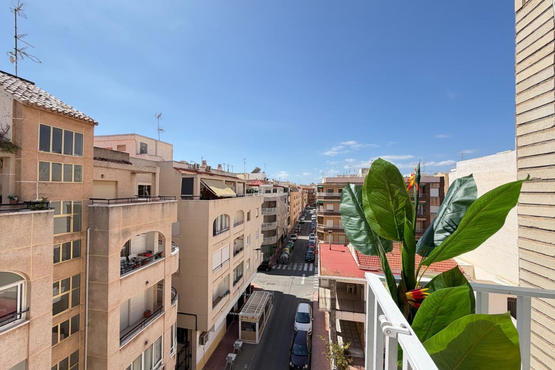 Resale - Apartment - Torrevieja - Estacion de autobuses