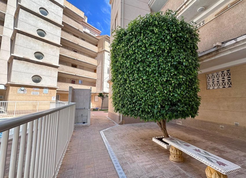 Resale - Apartment - Torrevieja - Habaneras