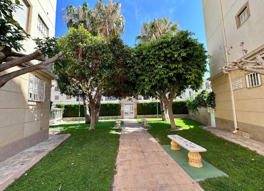 Resale - Apartment - Torrevieja - Habaneras