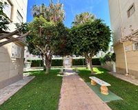 Resale - Apartment - Torrevieja - Habaneras