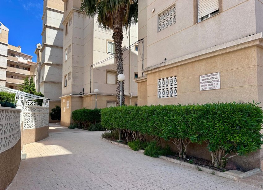 Resale - Apartment - Torrevieja - Habaneras