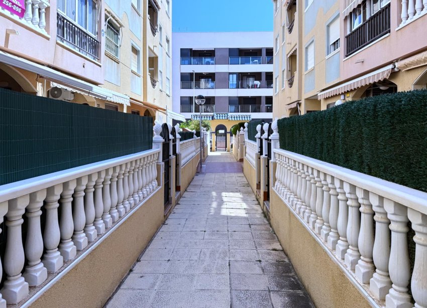 Resale - Apartment - Torrevieja - La Mata pueblo