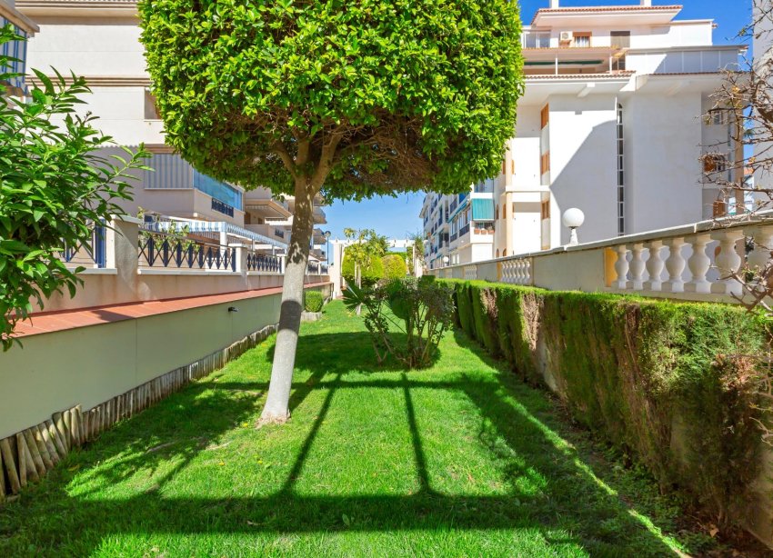 Resale - Apartment - Torrevieja - La Mata