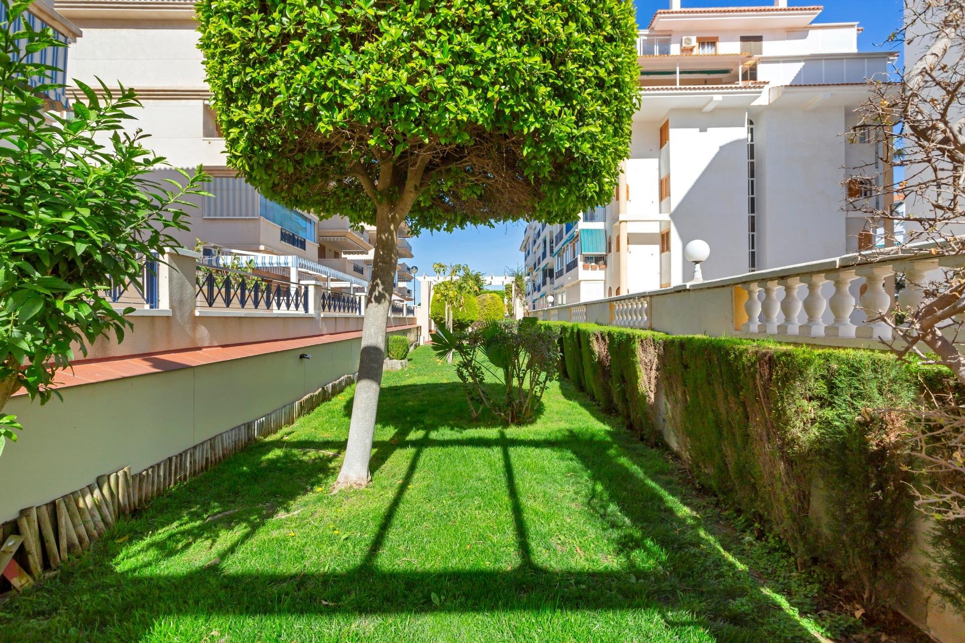 Resale - Apartment - Torrevieja - La Mata