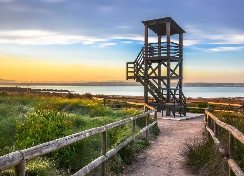 Resale - Apartment - Torrevieja - La Mata