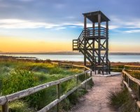 Resale - Apartment - Torrevieja - La Mata